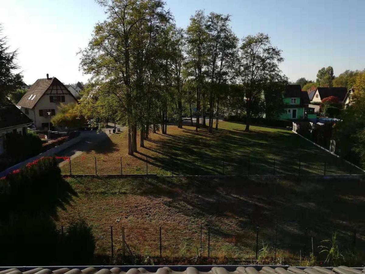 Appart Les Cerises Entre Strasbourg Et Haguenau 比什维莱尔 外观 照片