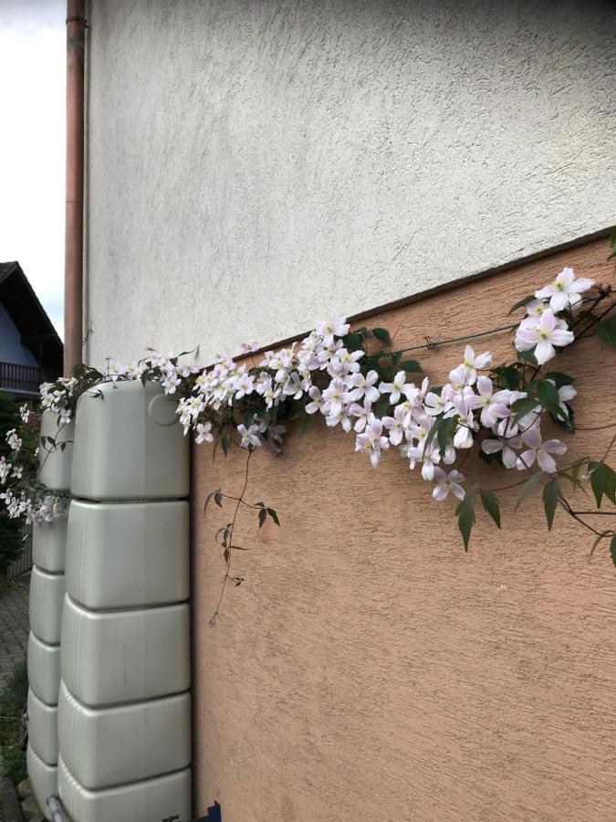 Appart Les Cerises Entre Strasbourg Et Haguenau 比什维莱尔 外观 照片